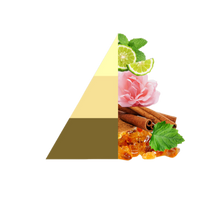 Horolux Joy (300 ml)