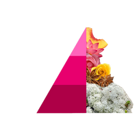 Geschenkset Muschi e Loto