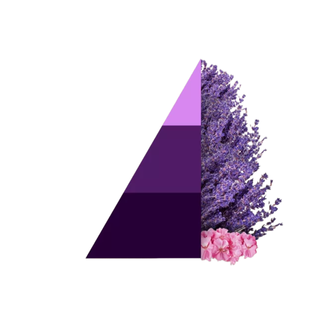 Geschenkset Aromatic Lavender