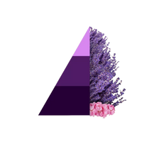 Geschenkset Aromatic Lavender