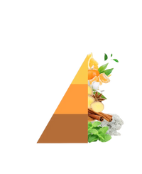 Refill geurstokjes Arancio e Cannella