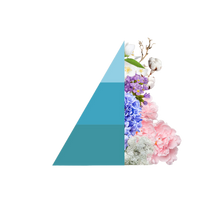 Roomspray Lino e fior di cotone