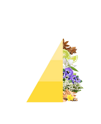 Refill geurstokjes Vanigilia e Benzoino