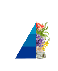 Refill geurstokjes fiori Blu