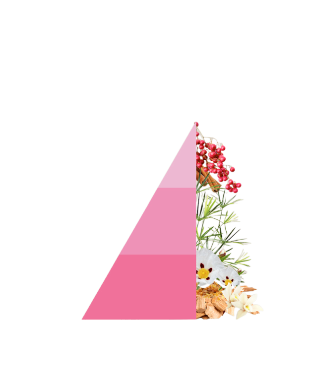 Refill geurstokjes Sandalo e Pepe Rosa