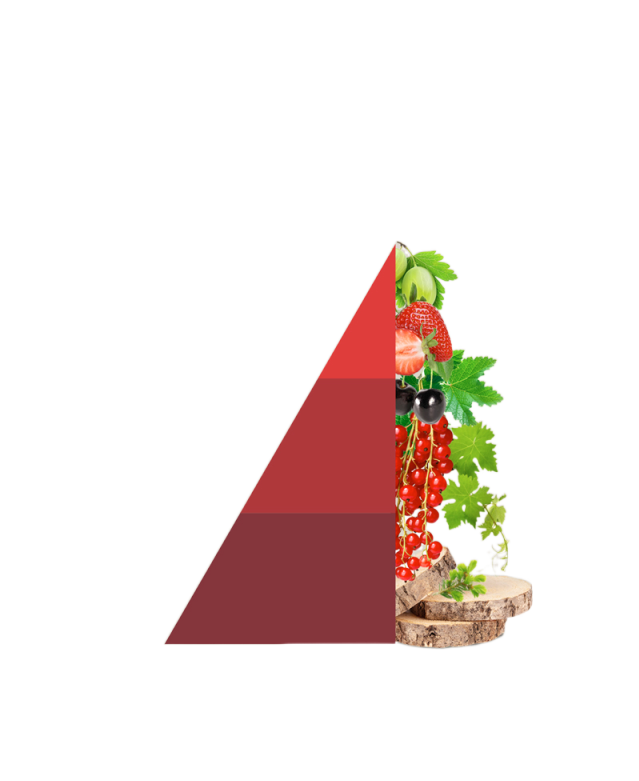 Refill geurstokjes Vigneto Rosso