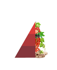 Refill geurstokjes Vigneto Rosso