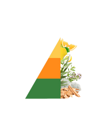 Refill geurstokjes All'Ombra degli Aranci